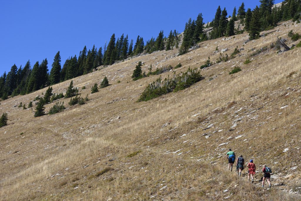 The Nature of Human/Land Relations by Gavin Ratliff - Wild Rockies ...