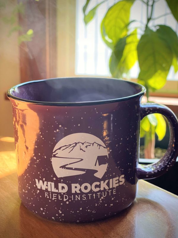 12 oz Ceramic WRFI mug