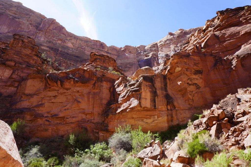Red rock canyon walls rise steeply under a bright blue sky, with some green shrubs and plants growing at the rocky base in the sunlight.